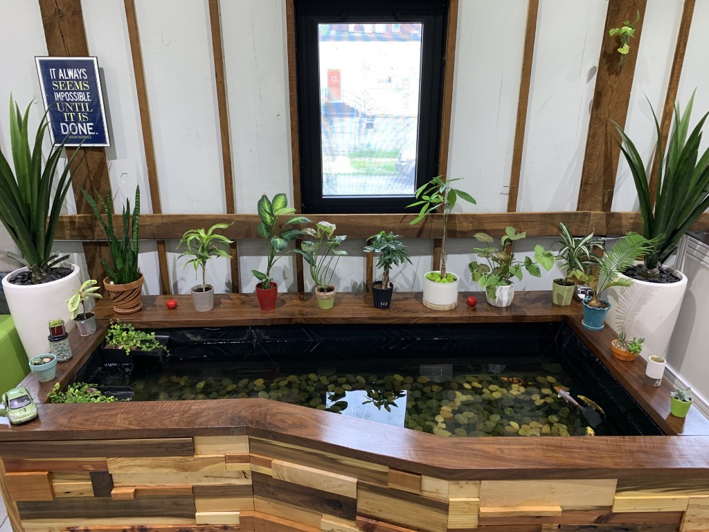 The Grenovian Habitat