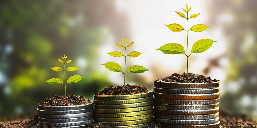 Plastic Pipette Tips: Over 62 Million Washed and Reused